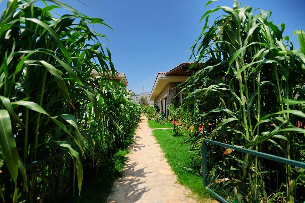 Filiz Apart Hotel Datca