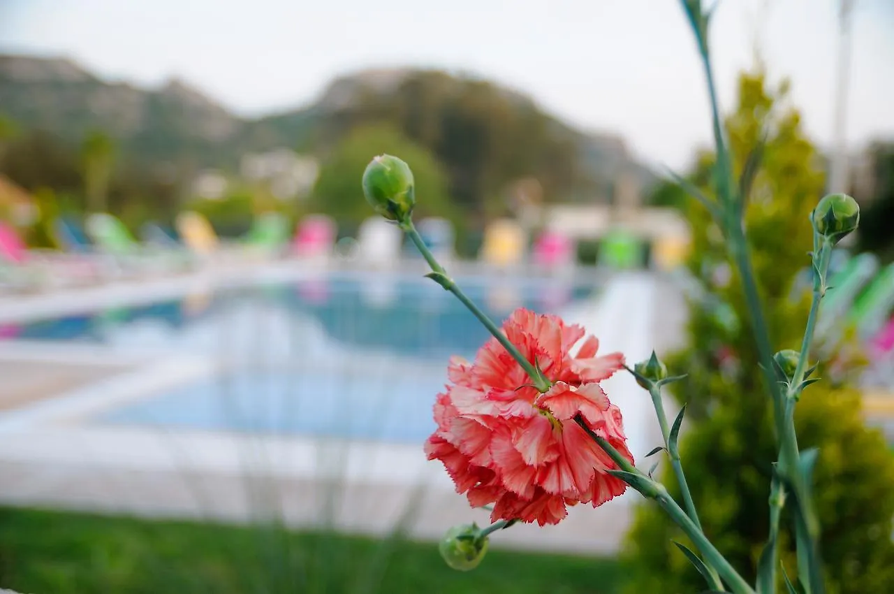 Filiz Apart Hotel Datca 0*,  Turkey